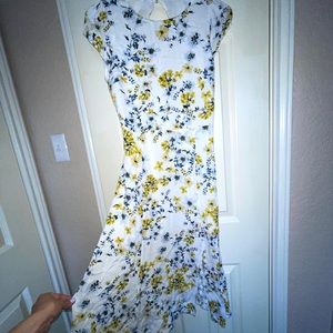 Banana Republic dress (size 0 petite)